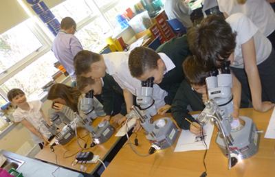 Hands-on research activities