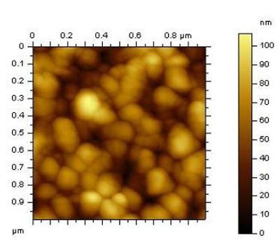 Atomic force microscopy of a conducting polymer thin film prepared on glass by electrochemical polymerization