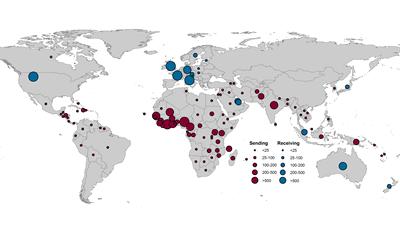 Exportation and importation of malaria cases