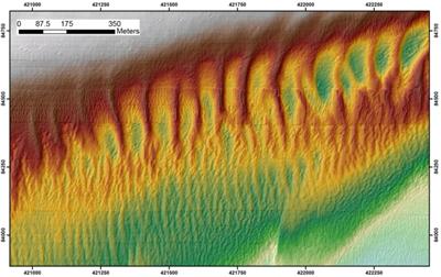 Zoom of Dolphin Bank bedforms