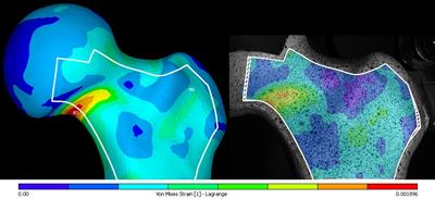 Computational Predictions and Experimental Measurements of Strain Compared using Digital Image Correlation