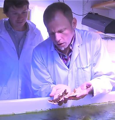 Professor Joerg Wiedenmann