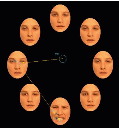 A pain-target/neutral-distractor trial from a visual-search task.