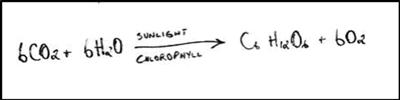 equation