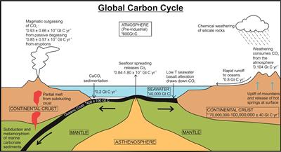 Schematic diagram of major carbon reservoirs & fluxes. Values: Siegenthaler & Sarmiento 1993; Sleep & Zahnle 2001; Hayes & Waldbauer 2006; Gerlach 1991; Williams et al 1992; Gaillardert et al 1999