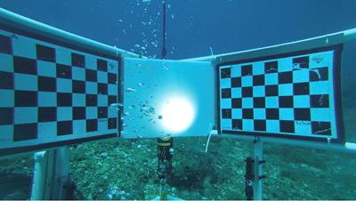 Quantifying CO2 flux from bubbles
