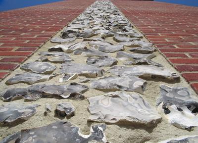 Celebrating staff and students in Archaeology