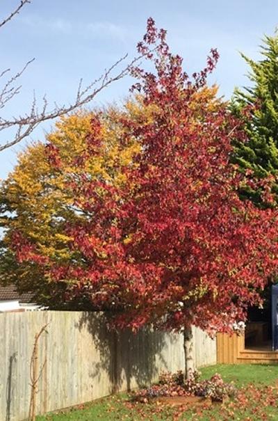 Issue 1-13 Autumn 2015