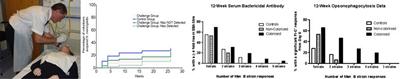 Human controlled infections are used to investigate natural colonisation and immunity