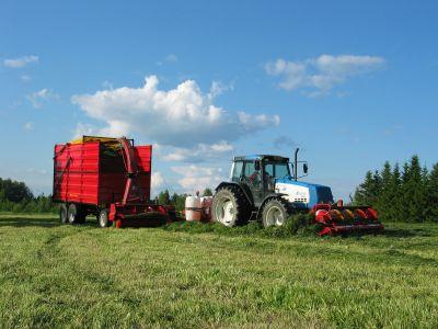 Grass a renewable energy crop in Finland