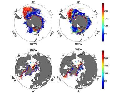 Iceberg distributions