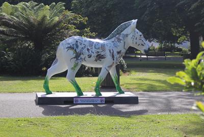 Marwell's Zany Zebras