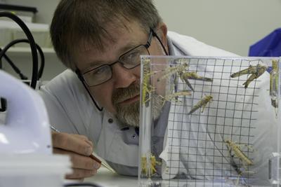 Associate Dean for Internationalisation