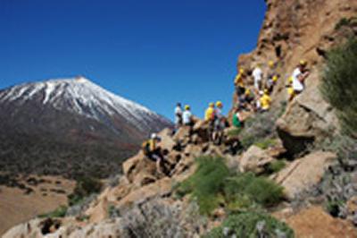 Student fieldwork at Las Cañadas volcano