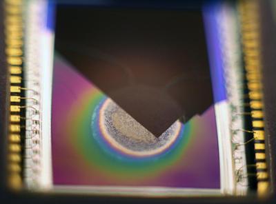 Stephen Cornford image