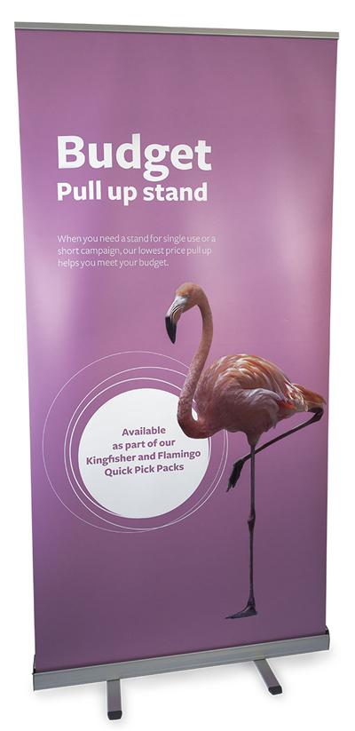 Budget style pull up stand