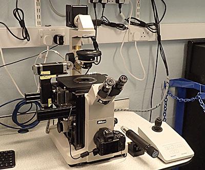 Nikon Diaphot Inverted Phase Contrast Photomicroscope