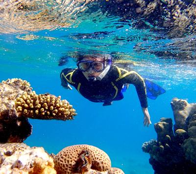 Coral reef fieldwork in the Red Sea