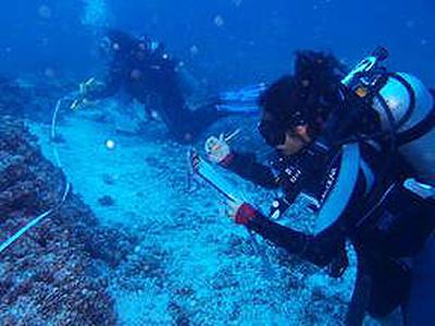 At work in the Galapagos