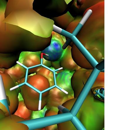 Electrostatic potential in the ligand binding pocket of a protein as obtained from ONETEP calculations. A phenol ligand is also visible.