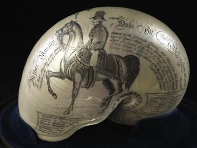 Nautilus shell commemorating the Duke of Wellington, dating from the 1850s.