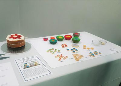 Roxanna - M&M nanoparticles cake