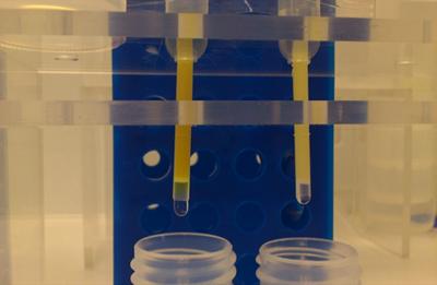 Fe purification using an anion exchange technique in a class 100 clean lab at NOCS