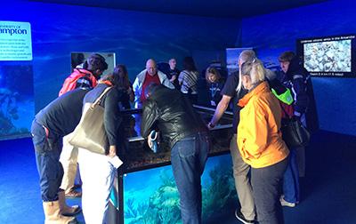 The rock pool at last year's Boat Show