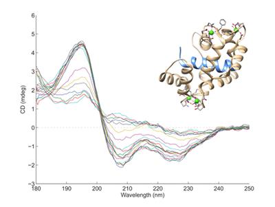 CD spectra provide information on molecular conformations