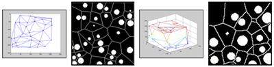 Application of tessellation tools to identify near neighbours 