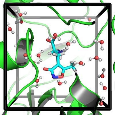 Predicted location of critical water molecules in the GluR2-AMPA complex using Grand Canonical Monte Carlo simulations