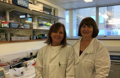 Laboratory technicians