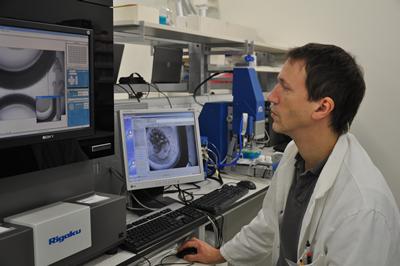Lecturer in Structural Biology