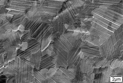 Electron Beam Melted Cobalt-Chromium