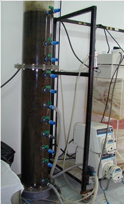 Pilot-scale reactor with granular sludge treating real wastewater 