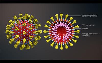 coronavirus