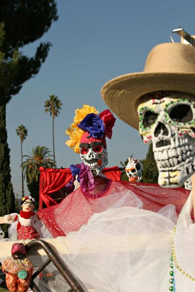 Picture from Mexusu