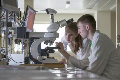 Undergraduate students