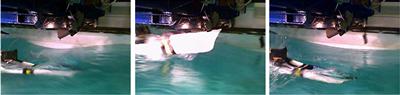 Slamming event in an abnormal wave