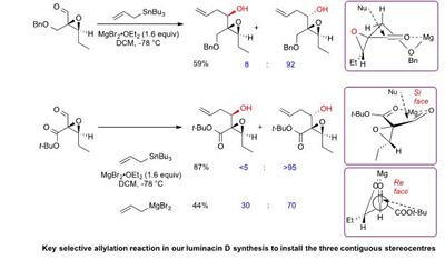 Key selective allylation reaction