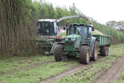 Harvest of bioenergy coppice 