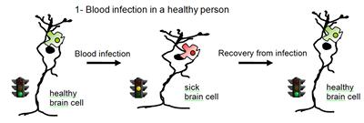 Blood infection in healthy person