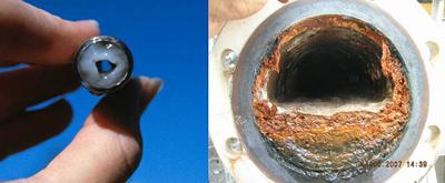 Examples of Biofilm build-up in water pipe systems