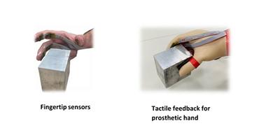 Fingertip sensations