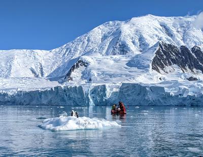 Water sampling in Borgen Bay, Anvers Island