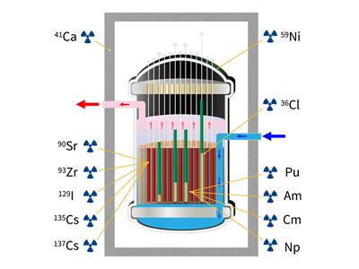 Radionuclides originating from a nuclear reactor
