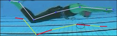 Dynamic motion capture