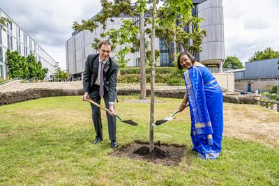 Tree Planting