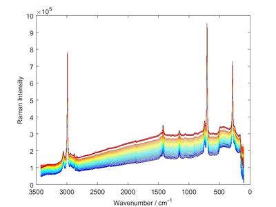 Raman spectroscopy
