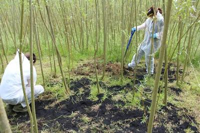 First study of its kind